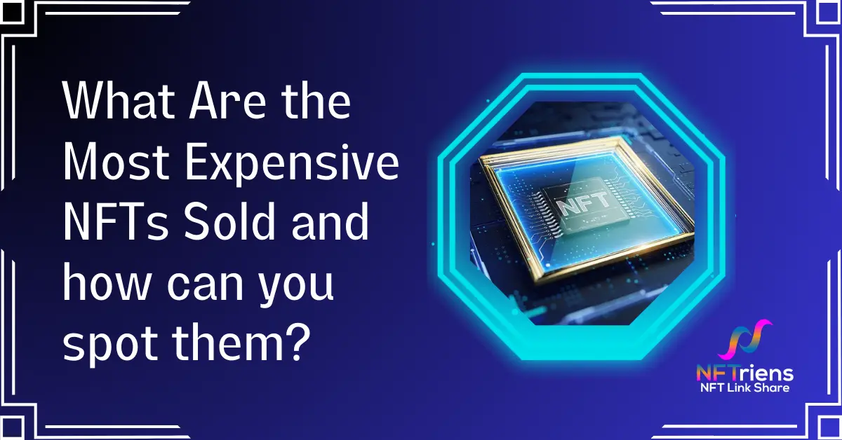 What Are the Most Expensive NFTs Sold and how can you spot them